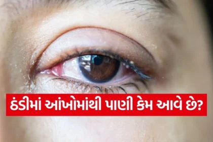 1768604858 dharmishtha 1 37.jpg.webp
