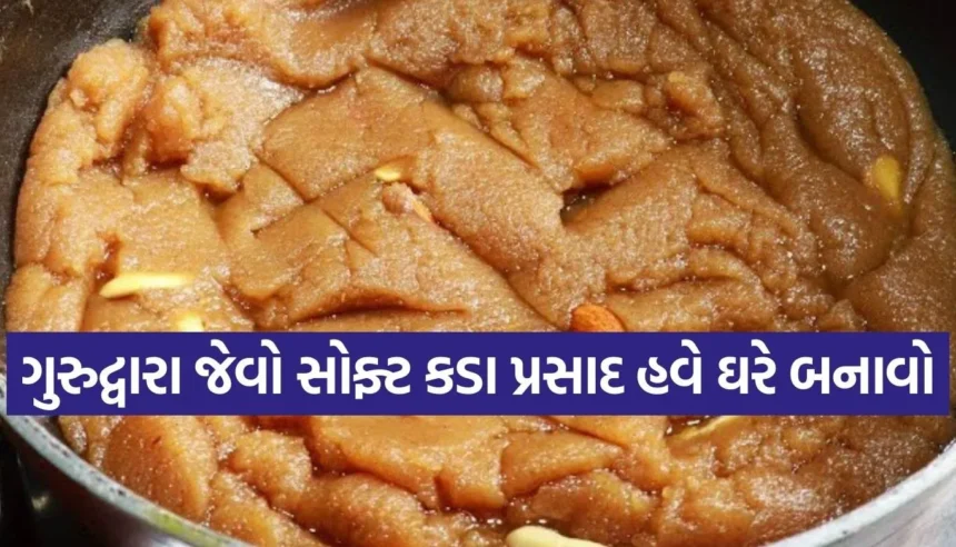 ગુરુદ્વારા જેવો ‘કડા પ્રસાદ’ હવે ઘરે જ, માત્ર 3 વસ્તુઓથી બનાવો મોઢામાં ઓગળી જાય તેવો હલવો 1 1768633729 Copy of Satya web temp 35.jpg.webp