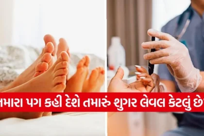1768662576 dharmishtha 1 28.jpg.webp