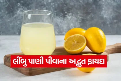 1768777473 dharmishtha 1 17.jpg.webp