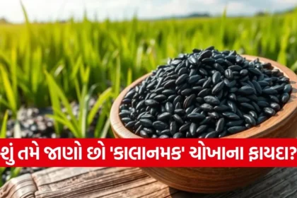 1768806873 dharmishtha 1 10.jpg.webp