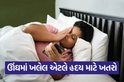 1768864540 dharmishtha 1 13.jpg.webp