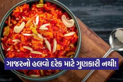 1769008370 dharmishtha 1 39.jpg.webp