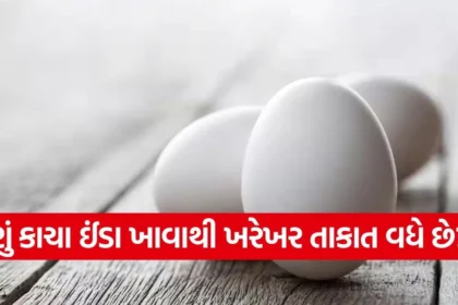 1769095471 dharmishtha 1 13.jpg.webp