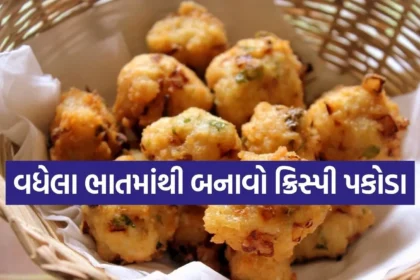 1769181328 Copy of Satya web temp 36.jpg.webp