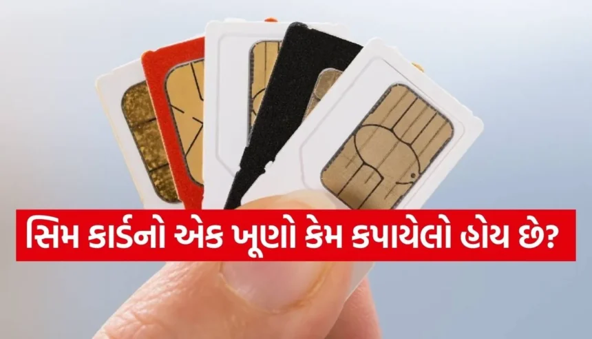 SIM Card ચોરસ કેમ નથી હોતું? એક નાનકડા કટ પાછળ છુપાયેલું છે મોટું ટેકનિકલ રહસ્ય 1 1769182712 Copy of Satya web temp 35.jpg.webp