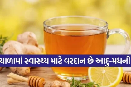 1769210913 Copy of Satya web temp 28.jpg.webp