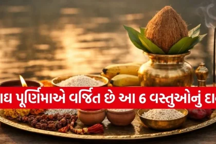 1769497957 Copy of Satya web temp 20.jpg.webp
