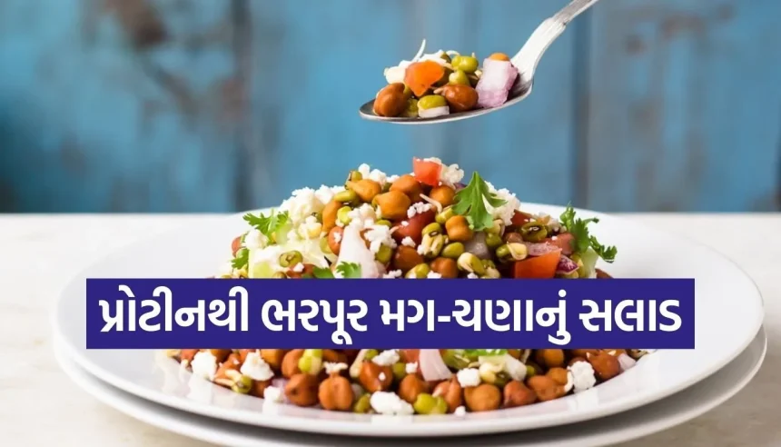 બિઝી લાઈફસ્ટાઈલ માટે બેસ્ટ રેસીપી, મગ-ચણાનું સલાડ જે આપશે દિવસભર એનર્જી 1 1769498804 Copy of Satya web temp 17.jpg.webp