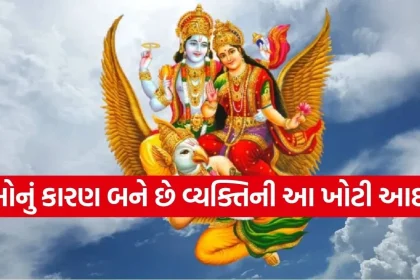 1769526832 Copy of Satya web temp 33.jpg.webp