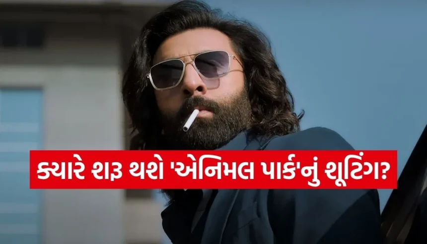 ‘એનિમલ પાર્ક’માં જોવા મળશે હીરો અને વિલનનો ડબલ રોલ, ફેન્સે હજુ જોવી પડશે રાહ 1 1769527255 Copy of Satya web temp 28.jpg.webp