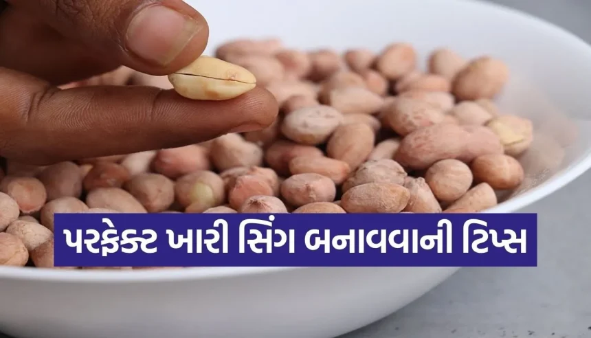 બજાર જેવી ક્રિસ્પી ખારી સિંગ હવે ઘરે બનાવો માત્ર 10 જ મિનિટમાં, નોંધી લો આ સિક્રેટ રેસીપી 1 1769557177 Copy of Satya web temp 25.jpg.webp