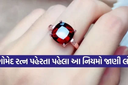 1769671118 Copy of Satya web temp 15.jpg.webp