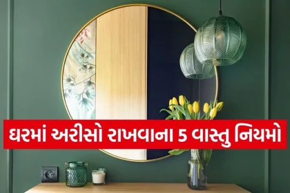 1769815480 Copy of Satya web temp 30.jpg.webp