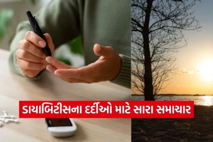 1769845422 dharmishtha 1 11.jpg.webp