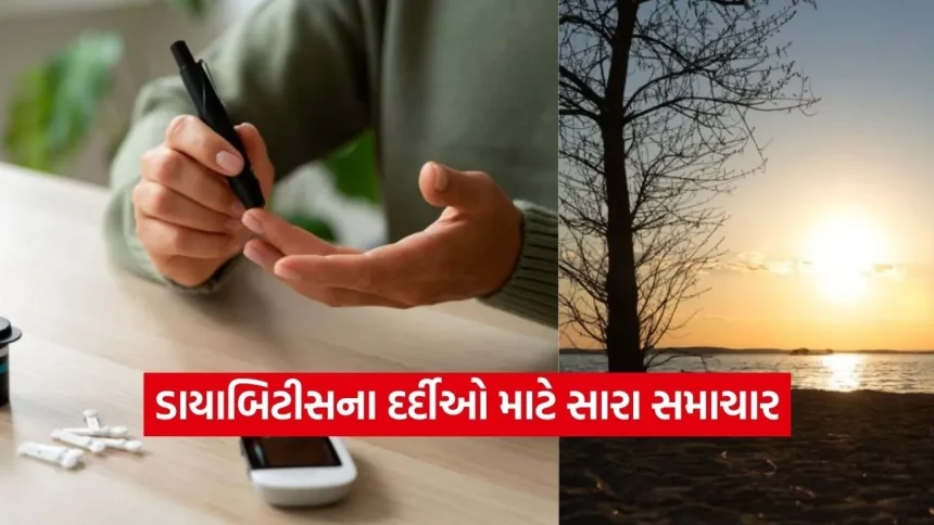 શું સૂર્યપ્રકાશથી ડાયાબિટીસ મટી શકે? જાણો સુગર કંટ્રોલ કરવાની કુદરતી રીત 1 1769845422 dharmishtha 1 11.jpg.webp