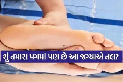 Copy of Satya web temp 2026 01 14T145214.647.jpg.webp