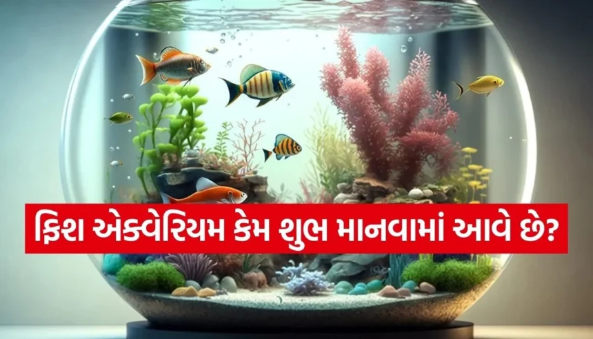 વાસ્તુ મુજબ ઘરમાં અહીં રાખો ફિશ એક્વેરિયમ, સુખ-સમૃદ્ધિમાં થશે વધારો 1 Copy of Satya web temp 2026 01 14T213019.971.jpg.webp