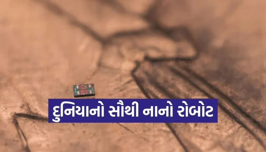 મીઠાના કણથી પણ નાનો રોબોટ, જે માઇક્રોસ્કોપ વગર દેખાતો પણ નથી! 1 Copy of Satya web temp 24.jpg.webp