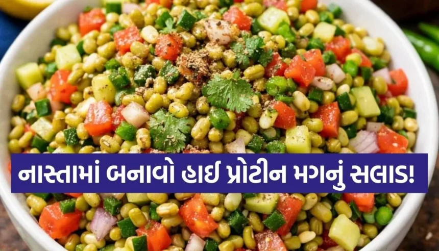નાસ્તામાં કંઈક હલકું અને સ્વાદિષ્ટ ખાવું છે? તો બનાવો આ હેલ્ધી અને ટેસ્ટી મગનું સલાડ 1 Copy of Satya web temp 3.jpg.webp