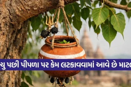 Copy of Satya web temp 38.jpg.webp