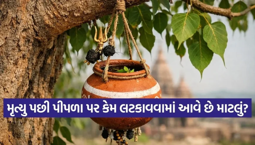 શું છે પીપળા પર માટલું લટકાવવાનું મહત્વ અને વિધિ? જાણો ગરુડ પુરાણનું આધ્યાત્મિક રહસ્ય 1 Copy of Satya web temp 38.jpg.webp