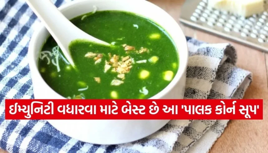 કકડતી ઠંડીમાં ગરમાગરમ ‘પાલક કોર્ન સૂપ’ આપશે રાહત, સ્વાદ અને સ્વાસ્થ્યથી ભરપૂર છે આ સરળ રેસીપી 1 Copy of Satya web temp 42.jpg.webp