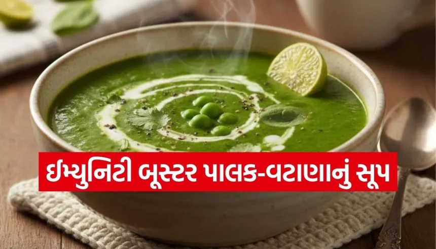 Copy of Satya web temp 47.jpg.webp
