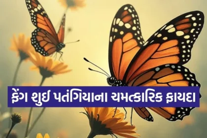 Copy of Satya web temp 54.jpg.webp