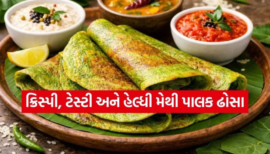સ્વાદિષ્ટ પણ અને પૌષ્ટિક પણ! સવારના નાસ્તામાં બનાવો આયર્નથી ભરપૂર ‘મેથી પાલક ઢોસા’ 1 Copy of Satya web temp 61.jpg.webp