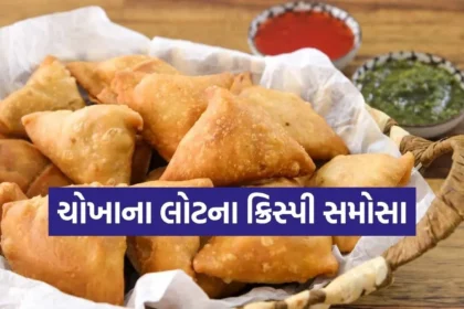 Copy of Satya web temp 77.jpg.webp