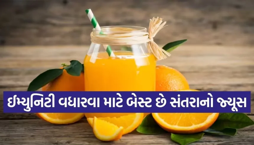 બજાર જેવો ફ્રેશ અને ટેસ્ટી સંતરાનો જ્યૂસ હવે ઘરે બનાવો, સ્વાસ્થ્ય અને સ્વાદનો મળશે ડબલ ડોઝ 1 Copy of Satya web temp 91.jpg.webp