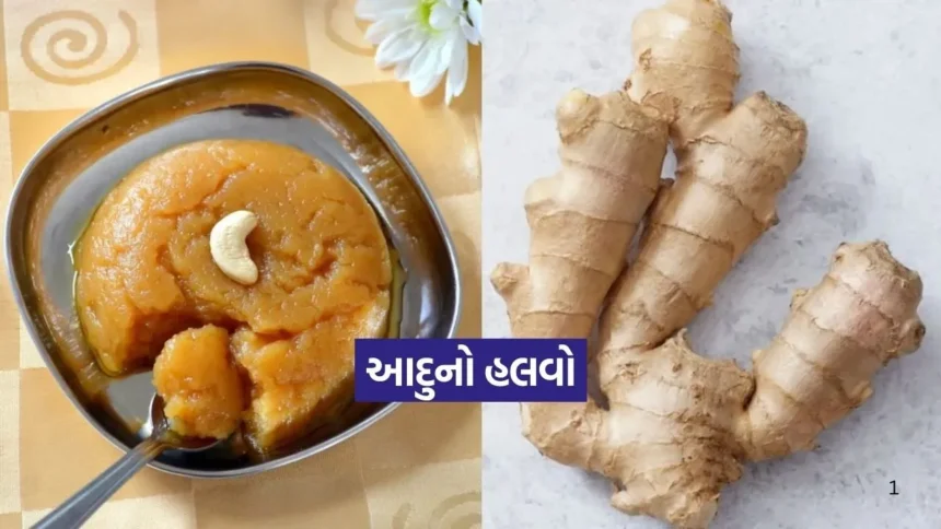 સ્વાદમાં ગાજરના હલવાને પણ ભૂલાવી દેશે આદુનો આ સ્પેશિયલ હલવો 1 Dharmishtha 2026 01 13T165113.558.jpg.webp
