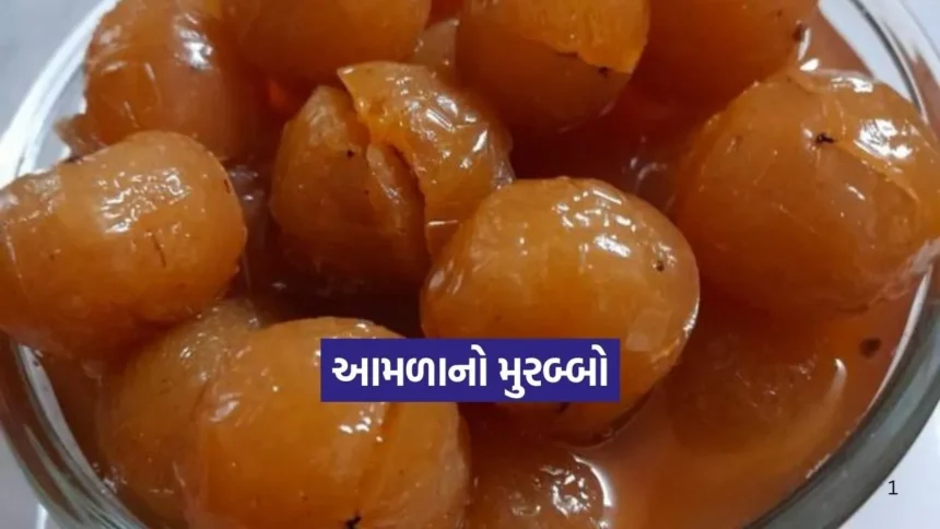 ગોળ કે ખાંડ વગરનો સ્વાદિષ્ટ અને આરોગ્યપ્રદ આમળા મુરબ્બો 1 Dharmishtha 2026 01 13T170354.629.jpg.webp