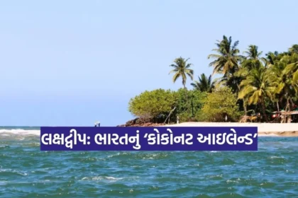 Dharmishtha 2026 01 16T162614.105.jpg.webp