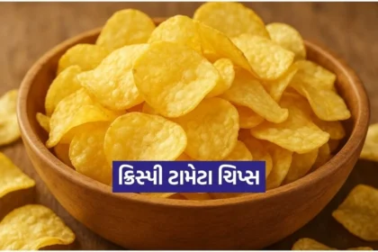 Dharmishtha 2026 01 20T170510.849.jpg.webp