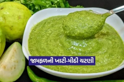 Dharmishtha 32.jpg.webp