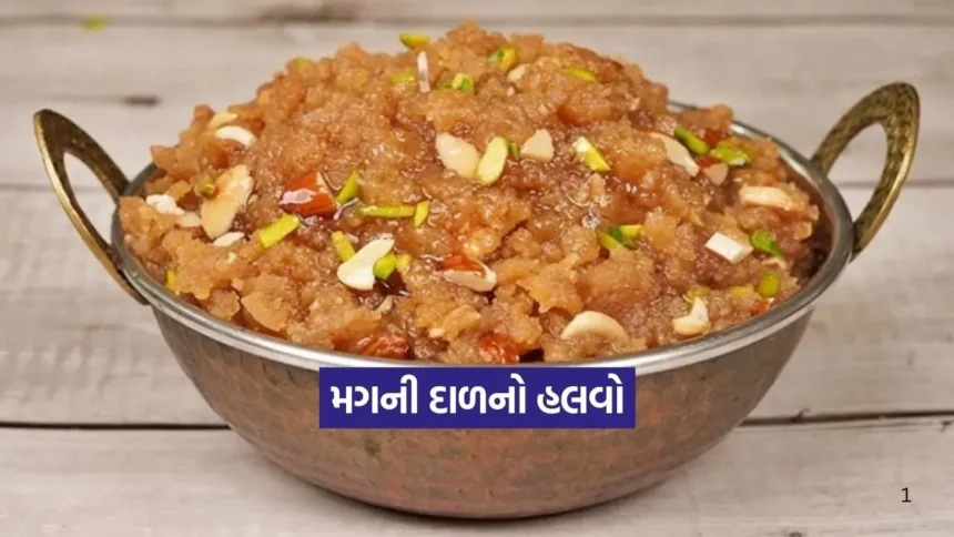 શિયાળાની શાહી મીઠાઈ: ઘરે બનાવો હોટલ જેવો દાણાદાર મગની દાળનો હલવો 1 Dharmishtha 36.jpg.webp