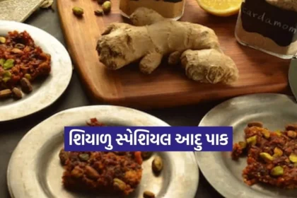 Dharmishtha 20260117 223223 0000.jpg.webp