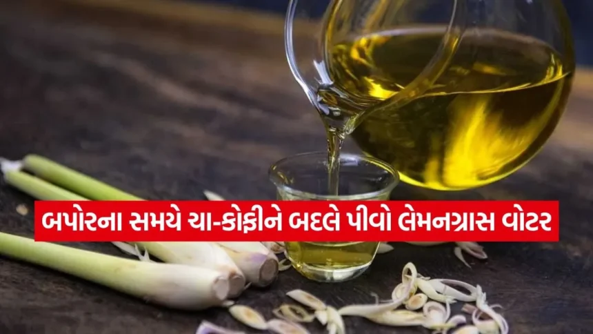 હૃદયને સ્વસ્થ રાખવા માટે બેસ્ટ છે ‘લેમનગ્રાસ વોટર’: બપોરે એક ગ્લાસ પીવાથી બ્લડ પ્રેશર અને કોલેસ્ટ્રોલમાં થશે ઘટાડો 1 INDIA 1 2026 01 05T105455.708.jpg.webp