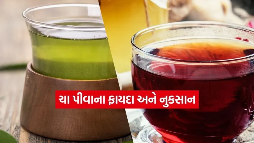 બ્લેક ટી અને ગ્રીન ટી વચ્ચે શું છે તફાવત? 1 INDIA 1 2026 01 13T103937.328.jpg.webp