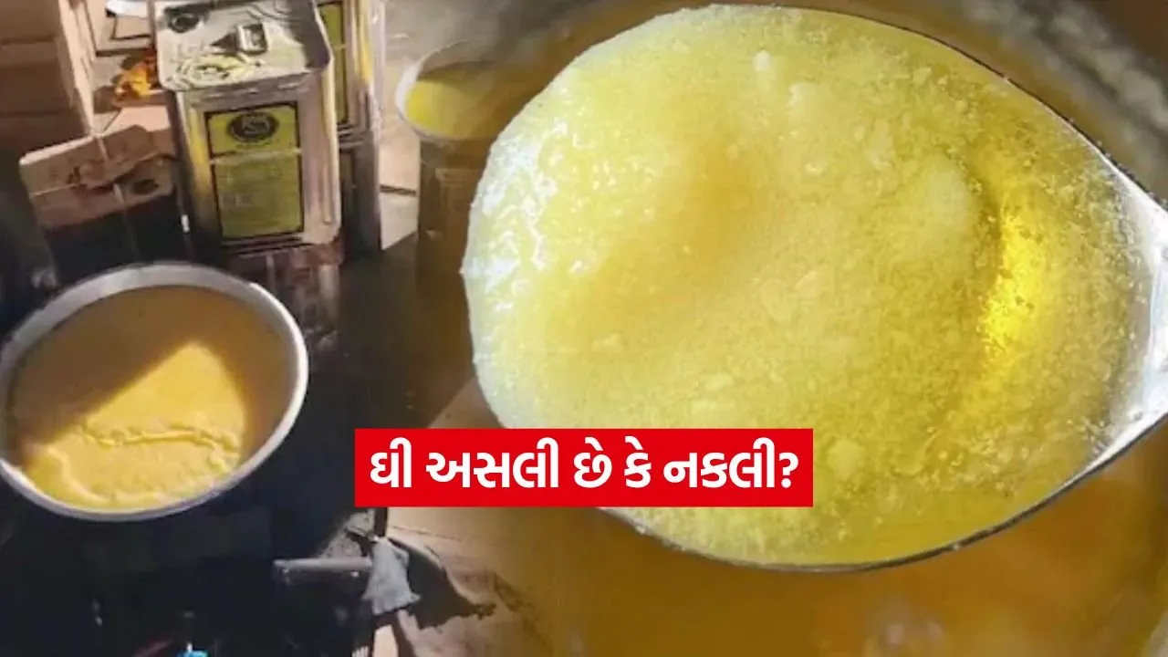 INDIA 1 2026 01 17T125446.711.jpg.webp