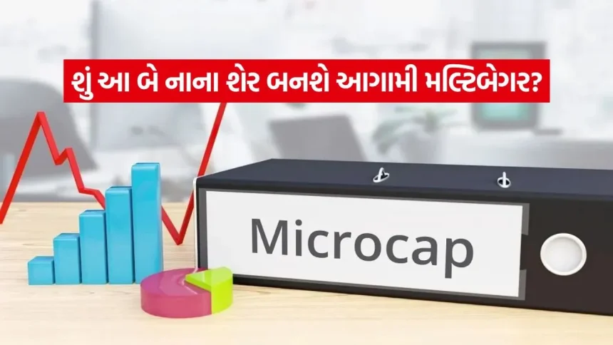 Microcap stocks – બજારના દિગ્ગજોનો માઇક્રોકેપ પર દાવ: રમેશ દમાણી અને આશિષ કચોલિયાએ કયા બે શેરમાં રોક્યા કરોડો રૂપિયા? 1 INDIA 1 2026 01 23T092438.238.jpg.webp