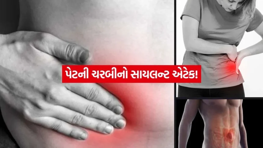 સ્ત્રીઓ માટે ખાસ ચેતવણી: પેટની ચરબી ઓગળવાના 10 સરળ ઉપાય 1 INDIA 1 2026 01 23T105344.087.jpg.webp