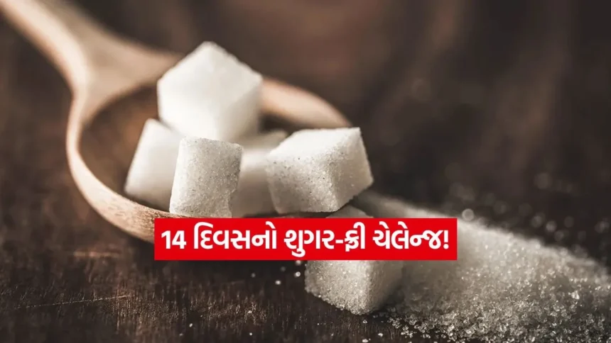 માત્ર 14 દિવસ ખાંડ છોડી જુઓ: શરીરમાં જોવા મળશે આશ્ચર્યજનક ફેરફાર 1 INDIA 1 5.jpg.webp