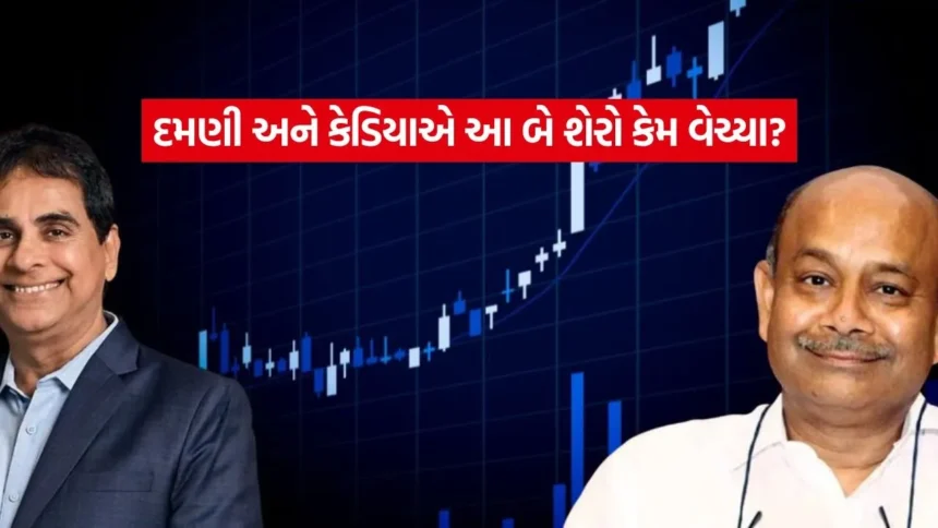 રોકાણકારો માટે ચેતવણી? દમાણી–કેડિયાનો ચોંકાવનારો નિર્ણય 1 INDIA 1 92.jpg.webp