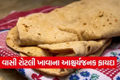 dharmishtha 1 11.jpg.webp