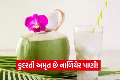 dharmishtha 1 2026 01 28T155715.876.jpg.webp