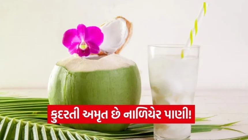 કુદરતી અમૃત છે નાળિયેર પાણી! જાણો તેનાથી થતા અદ્ભુત ફાયદા અને પીવાનો સાચો સમય 1 dharmishtha 1 2026 01 28T155715.876.jpg.webp