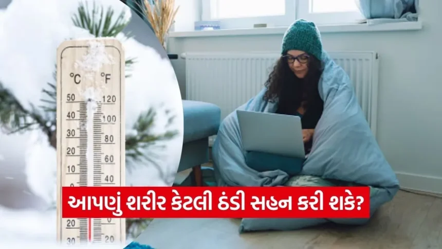 આપણું શરીર કેટલી ઠંડી સહન કરી શકે? જાણો તાપમાન ઘટતા જ શરીરમાં શું ફેરફાર થાય છે 1 dharmishtha 1 2026 01 29T114329.704.jpg.webp